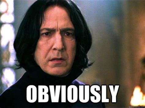 Snape Obviously Meme | Snape harry potter, Harry potter characters, Harry potter funny