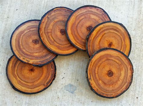 Hand Made Coasters, Colorado Aspen Wood Coaster Set Of 6 by Bc Creative Designs | CustomMade.com