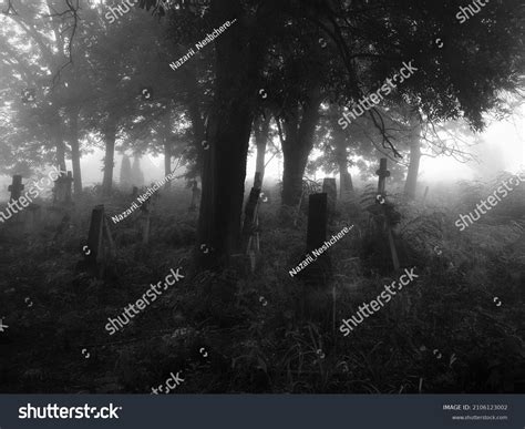 Mystical Creepy Cemetery Fog Crosses Graves Stock Photo 2106123002 | Shutterstock