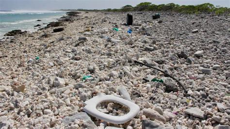 Plastic dumped in Pacific Ocean bigger than France, Germany, Spain ...