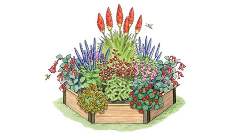 Hummingbird Garden Design