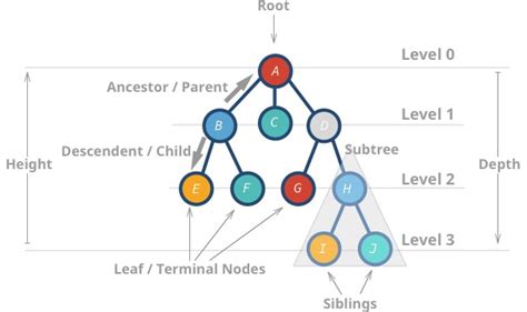 GitHub - guilhermegules/tree-datastructure-poc: :deciduous_tree: Study ...