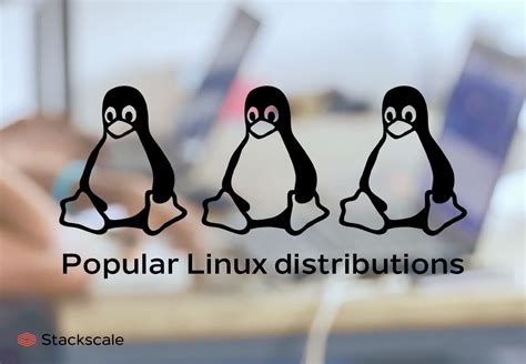 31 popular Linux distributions and OS [List]