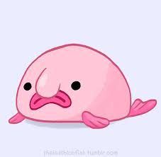 Resultado de imagen para blobfish (con imágenes) | Dibujos kawaii, Animales, Pez borron