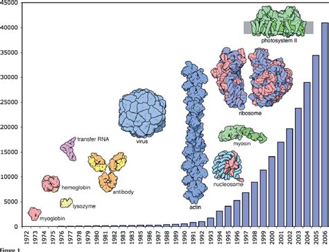 Figure 1 from The Protein Data Bank: a historical perspective. | Semantic Scholar