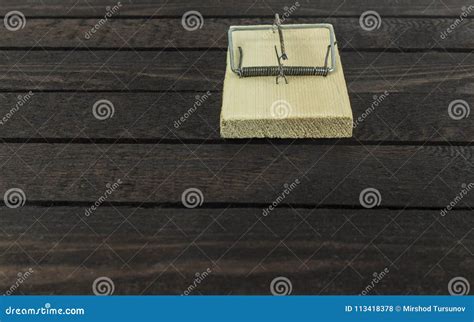 Front View of Mouse Trap on Dark Brown Wooden Background. Stock Photo ...