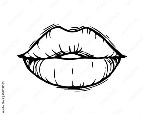 Hand drawn female lips isolated on white background. Stock Vector ...