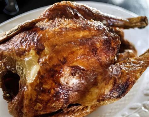 Best Wild Turkey Recipes | So Many Choices | MissHomemade.com