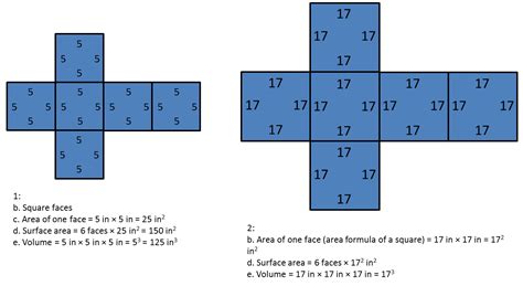 Surface Area of a Cube