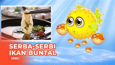 Fakta Ikan Buntal, Ikan Laut yang Beracun, Jangan Sembarangan Konsumsi ...