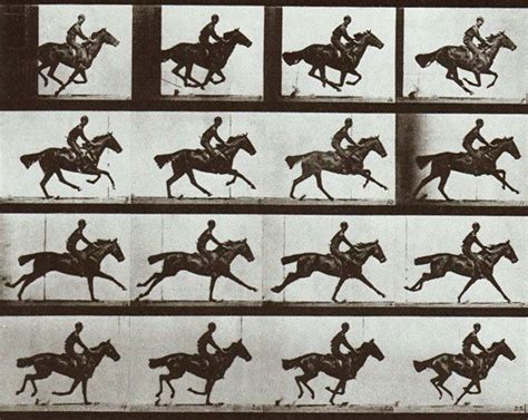 Muybridge Animal locomotion. Postcard. $2.75, via Etsy. | Eadweard ...