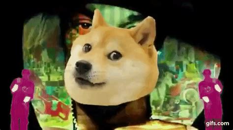 Doge Meme Shiba Gif