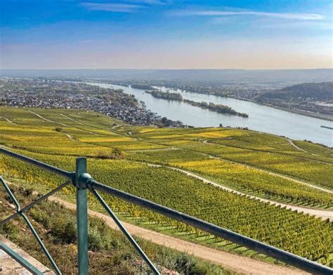 Rudesheim Cable Car + Rudesheim Ring Tour: Everything You Need To Know