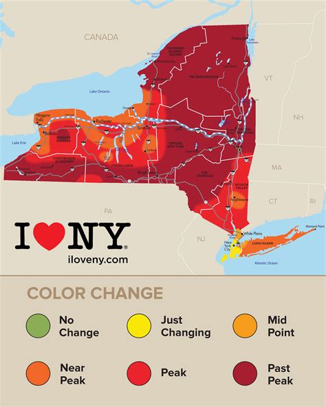 New York Fall Foliage 2024 Predictions Map - Aidan Arleyne