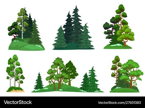 Forest trees green fir tree forests pine Vector Image