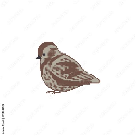 Sparrow pixel art. 8 bit Small bird. Vector illustration. Stock Vector ...