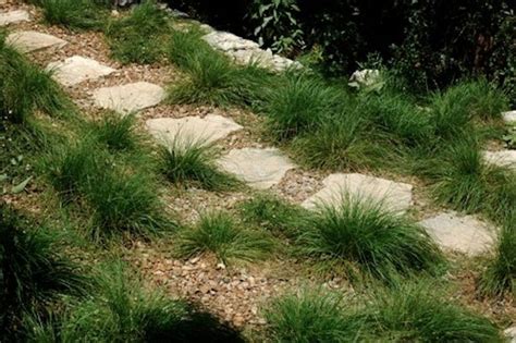 Sedge-lined pathway - Modern - Landscape - Austin - by J. Peterson ...