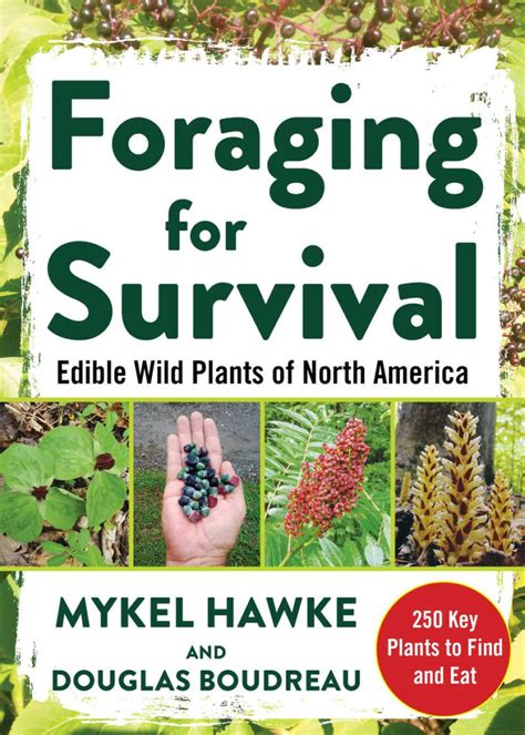 Foraging For Survival: Edible Wild Plants of North America - CAVESTOCK