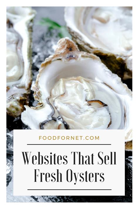 Buy Fresh Oysters Online From These 5 Websites | Food For Net