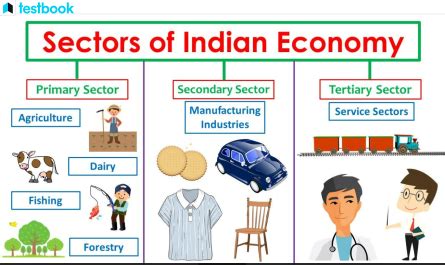 Difference Between Primary, Secondary and Tertiary Sector - UPSC