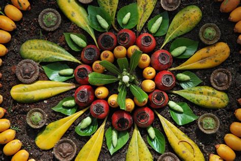 mandalas naturales (40) - Orientación Andújar - Recursos Educativos