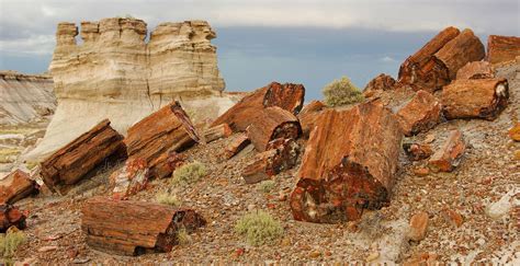 Petrified Forest National Park | Arizona, Fossils, Petroglyphs | Britannica