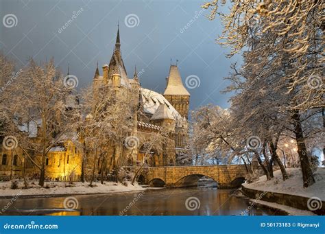 Vajdahunyad Castle at Night Stock Image - Image of branch, dreamy: 50173183