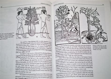 An Illustrated History of Gardening (Horticulture Garden Classic) by Huxley, Anthony: New ...