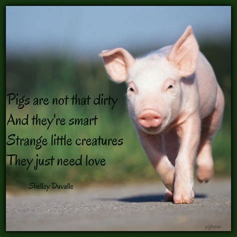 Pin by Joyce French on Pigs | Cute pigs, Pigs quote, Baby pigs