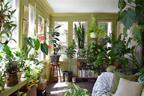 Natasha and the Plant-Filled Sunroom | Apartment Therapy