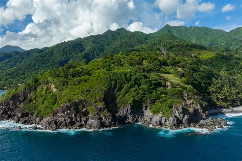 Dominica set to open the first Marine Reserve centered around Sperm Whales - QUAD TT