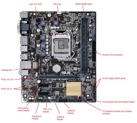 Asus Motherboard Diagram Labeled | My XXX Hot Girl