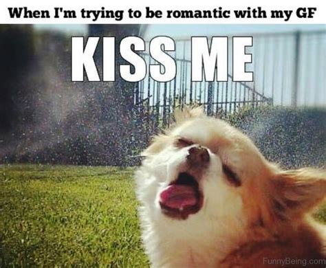 31 Most Funny Romantic Memes