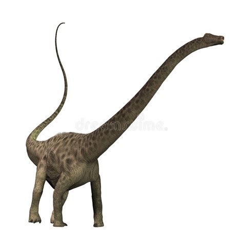 Diplodocus Stock Illustrations – 6,696 Diplodocus Stock Illustrations, Vectors & Clipart ...