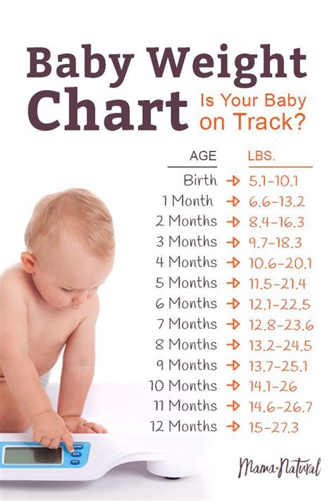 Baby Weight Chart: Is Your Baby On Track? | Baby care tips, Baby weight chart, Baby weight