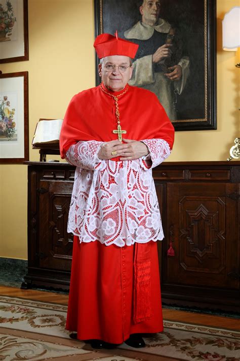 The Catholic Heritage Association of Ireland: Ad Multos Annos Cardinal Burke