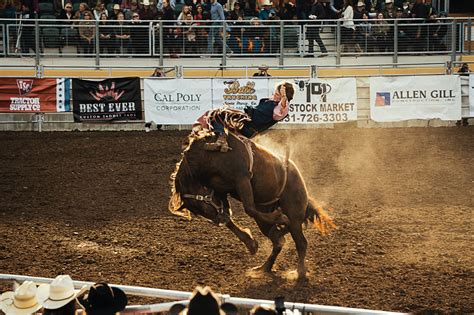 Texas Rodeos: Where to Find the American Cowboy Spirit this October