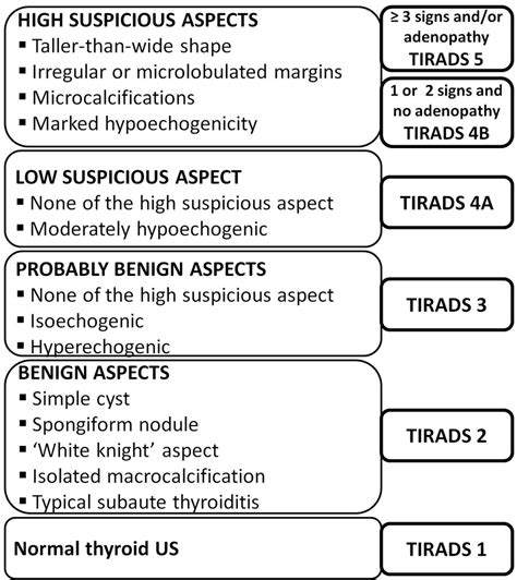 TIRADS classification algorithm [13]. | Download Scientific Diagram