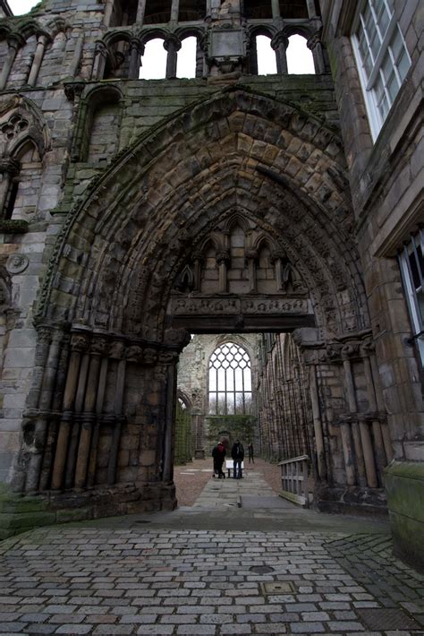 Holyrood Abbey – The Hazel Tree