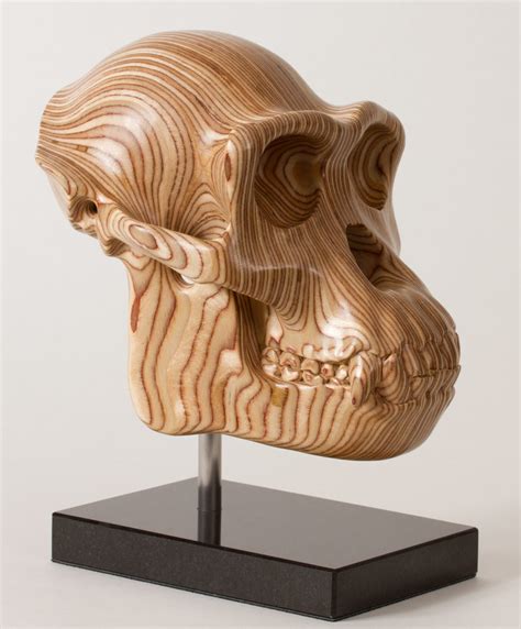 Chimp skull, hand carved by wildlife artist, Bill Prickett.