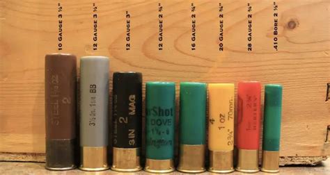 Shotgun Gauges Explained: 10 vs 12 vs 16 vs 20 vs 28 vs 410