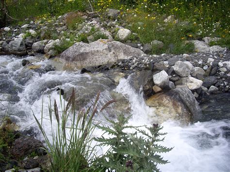 Free Images : rock, waterfall, flower, river, pond, rapid, body of ...