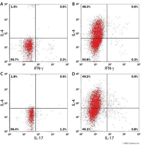 R D Systems CellXVivo Mouse Th2 Cell Differentiation Kit Quantity: 1 kit:Cell | Fisher Scientific