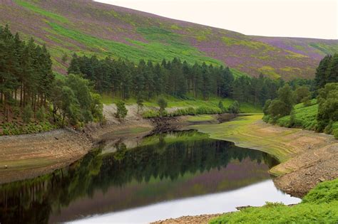 Download free photo of Peak district,reservoir,howden reservoir,trees,calm - from needpix.com