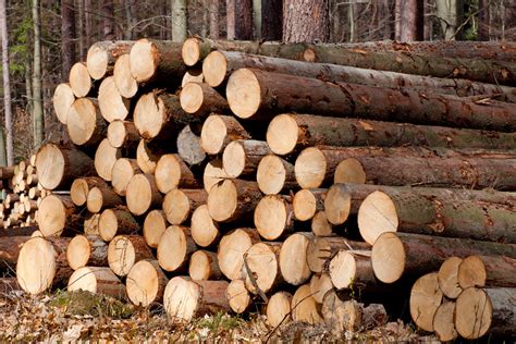 Finland: Log prices overview for January 2019 - Global Wood Markets Info