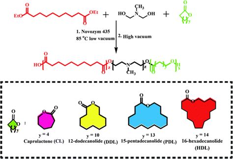 Recent advances in the synthesis of biodegradable polyesters by sustainable polymerization ...