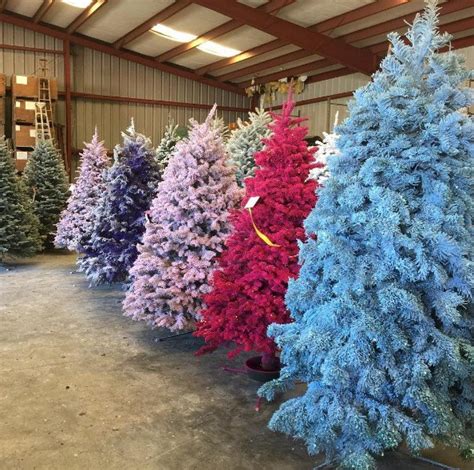 This Year, Colored Christmas Trees Could Make Your Home Bright ...