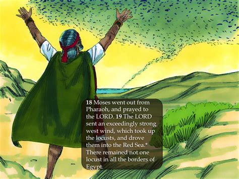 The Eight Plague - Locusts (Exodus 10:1-20) - PnC Bible Reading - Illustrated Bible Scriptures