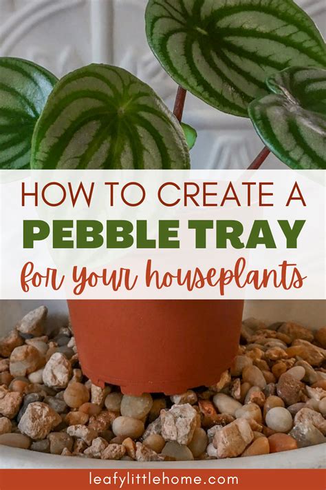 How to Make a Pebble Tray for Plants | Plant tray diy, Plant tray, Inside plants