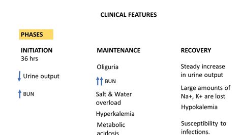 Pathology of Acute tubular injury/necrosis | Pathology Made Simple